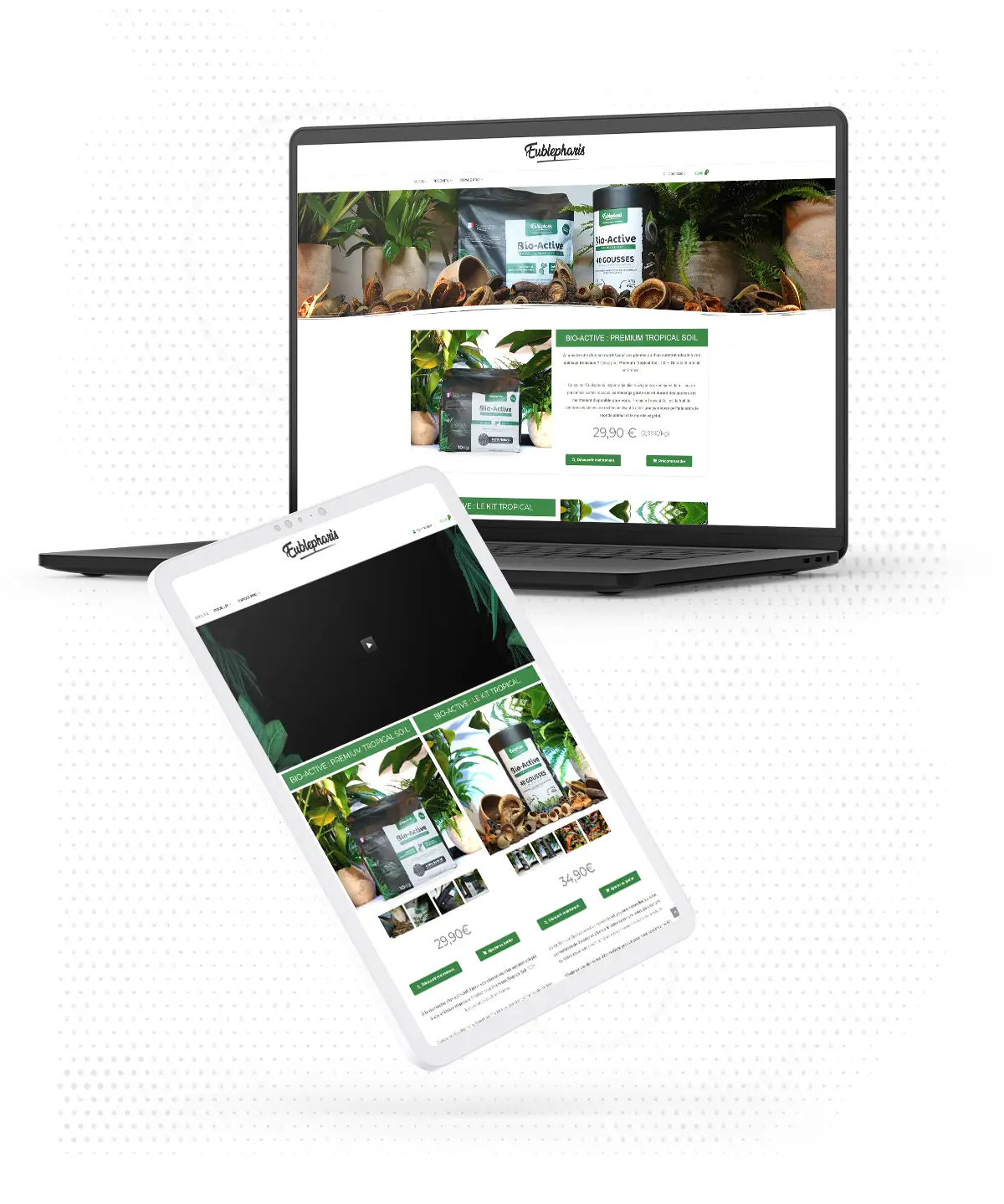 Site-internet-Eublepharis2