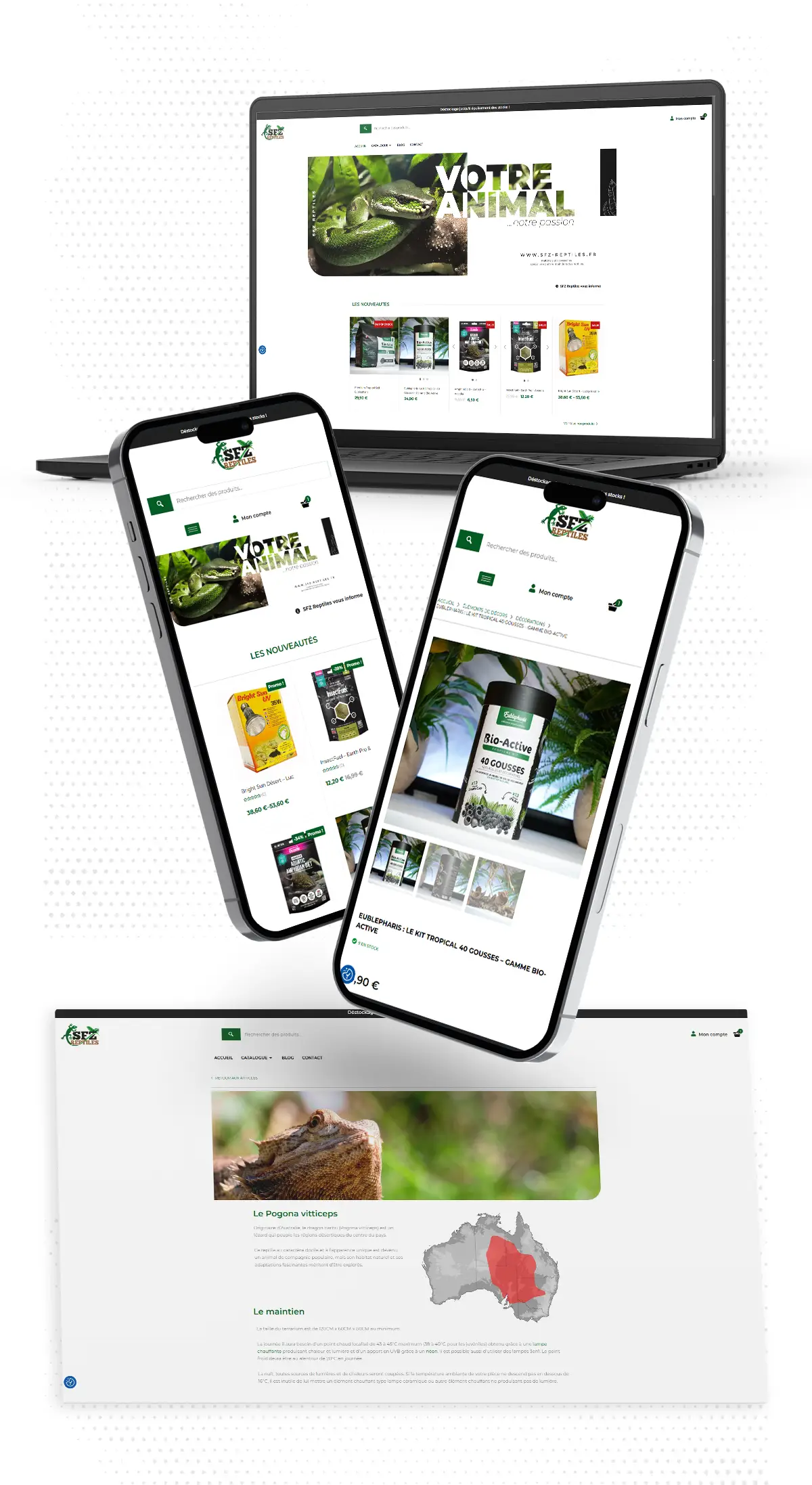 Site internet sfzreptiles.fr